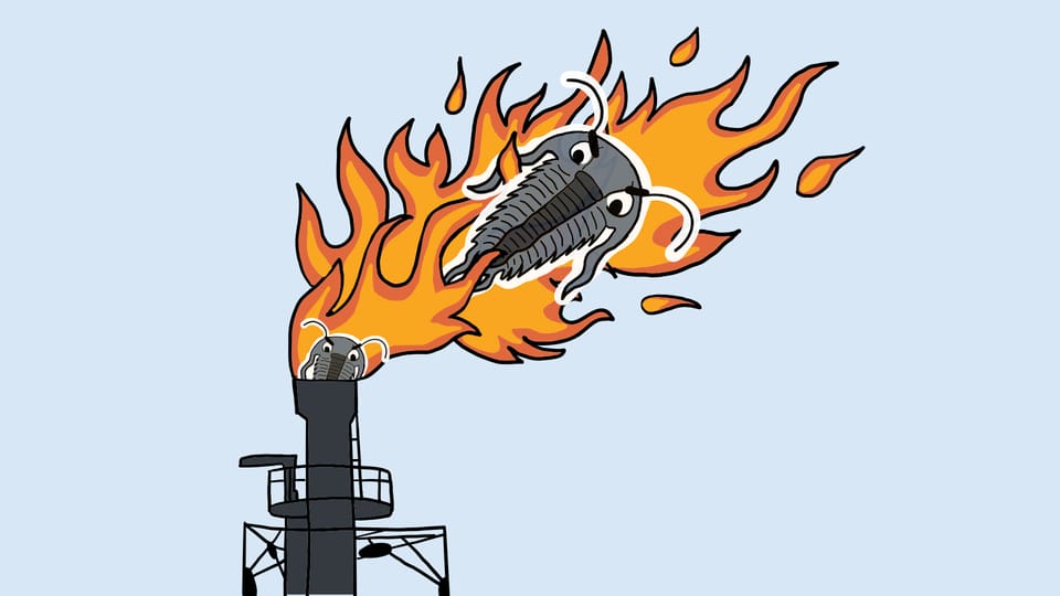 A real-life ghost story