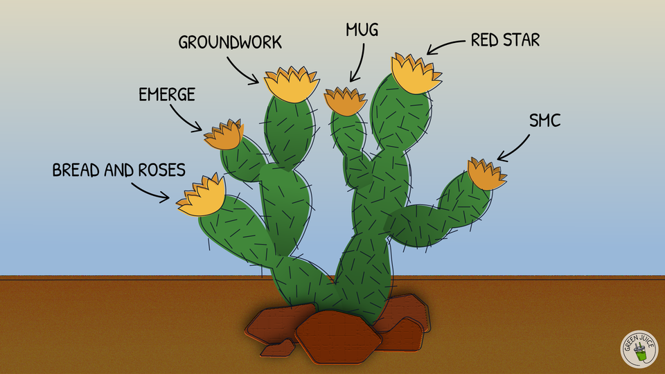 A caucus is like a cactus