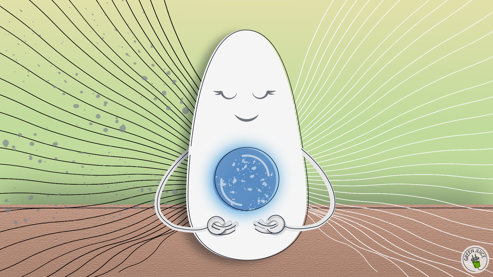 The only way to reverse climate change